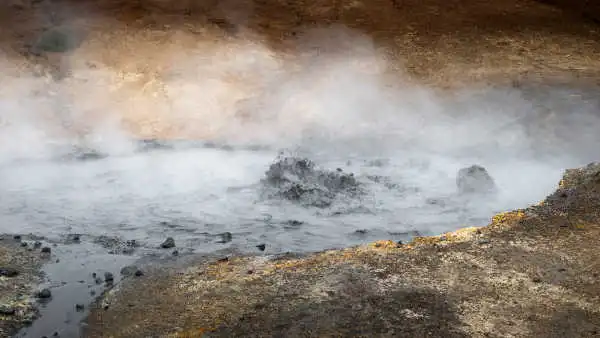 Boiling mud behind a cloud of steam